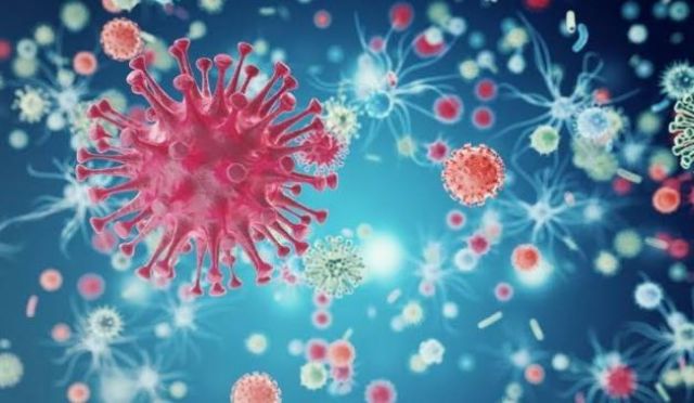 Virus Corona Varian Baru Asal India di Tangsel Pasien Dinyatakan Sembuh